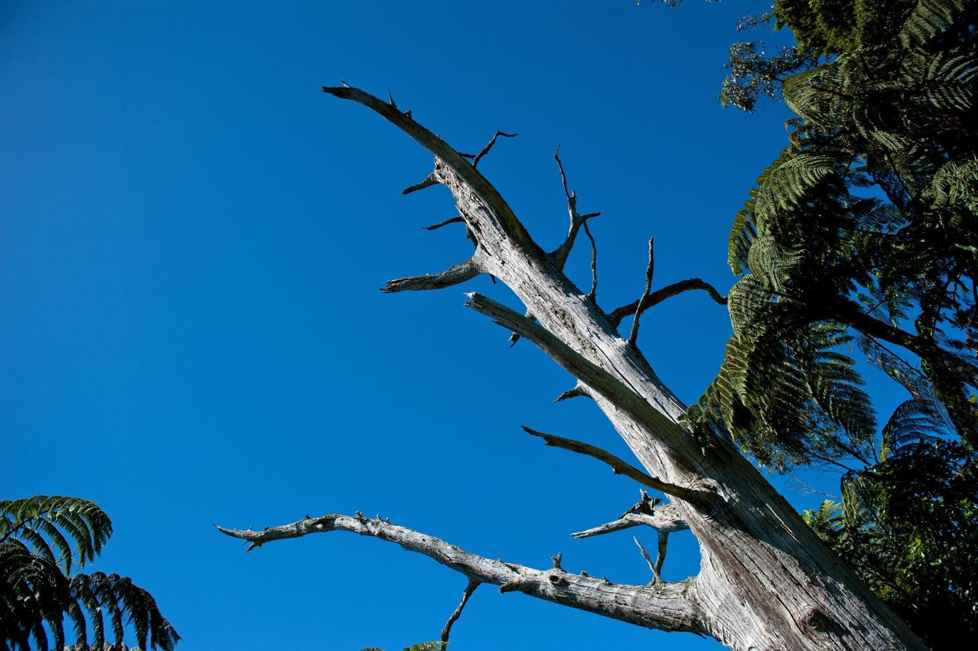 Oreti Village Resort Turangi Exteriör bild